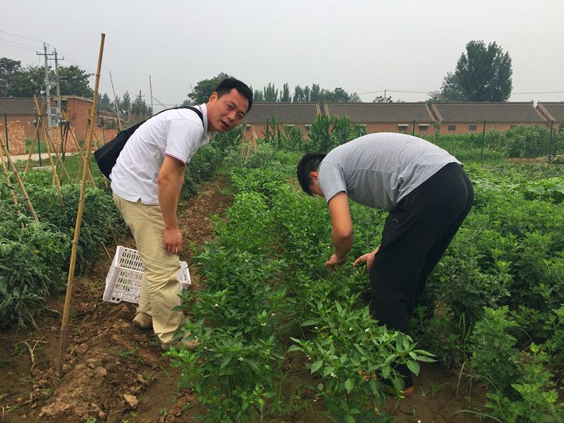 好利來郭總喊您來摘菜啦！綠色無公害，放心！